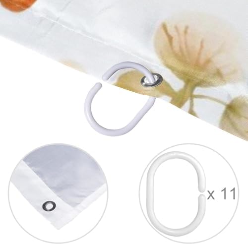 VAPOKF Cute Squirrel Shower Curtain with 12 Hooks 60x72 Inches 1