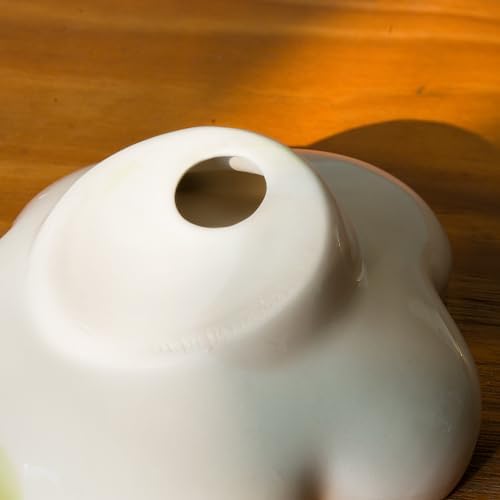 LINXUXIE Ceramic Soap Dish Holder with Floral Design