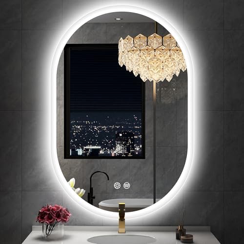 Sbagno 20x36 Inch Oval LED Mirror with Lights and Memory Function