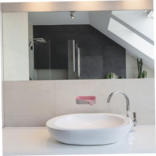 Wall Mounted Soap Dish with Toothbrush Holder