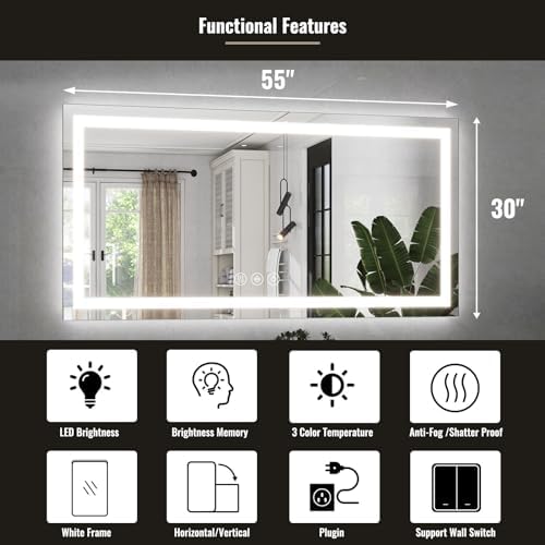 Easly 30x55 Inch LED Bathroom Mirror with Anti-Fog and Dimming