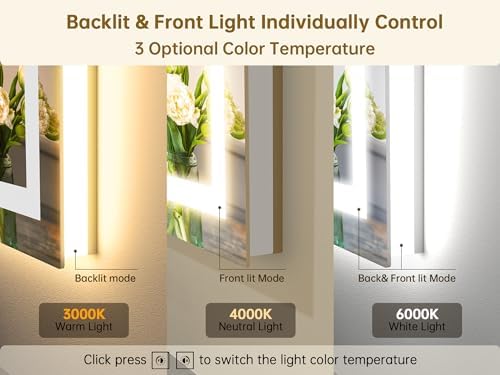LOYAL STAR 72x36 LED Vanity Mirror with Backlit Front Light