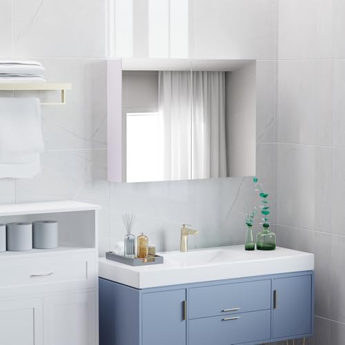 HOMCOM 315 Inch Bathroom Mirror with Storage