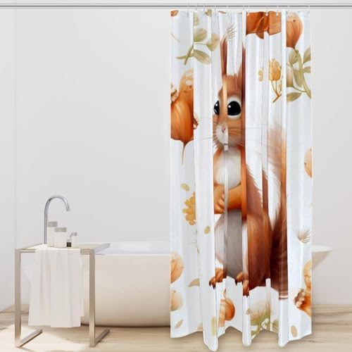 VAPOKF Cute Squirrel Shower Curtain with 12 Hooks 60x72 Inches 1