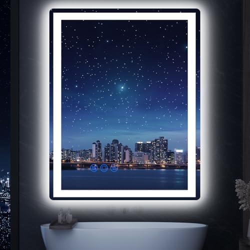 GoZoom LED Bathroom Mirror 20x28 with Lights