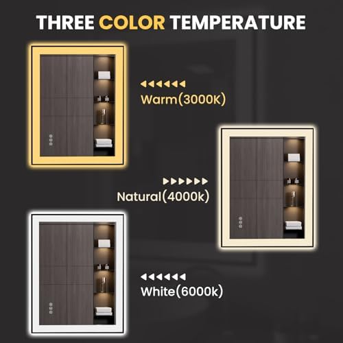 LOAAO 28X36 LED Bathroom Mirror with Black Frame