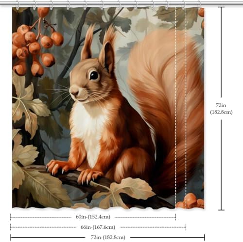 VAPOKF Cute Squirrel Shower Curtain Set with 12 Hooks