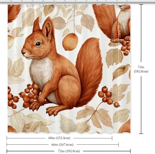 VAPOKF Cute Squirrel Shower Curtain with 12 Hooks 1