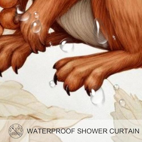 VAPOKF Cute Squirrel Shower Curtain with 12 Hooks 1