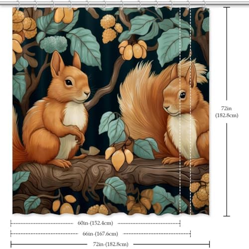 VAPOKF Cute Squirrel Shower Curtain with 12 Hooks 60x72 Inches
