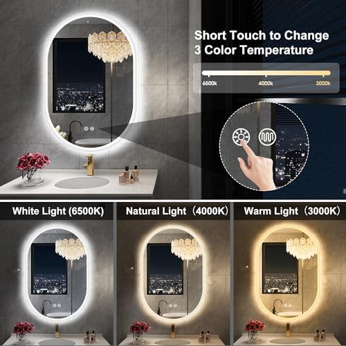 Sbagno 20x36 Inch Oval LED Mirror with Lights and Memory Function