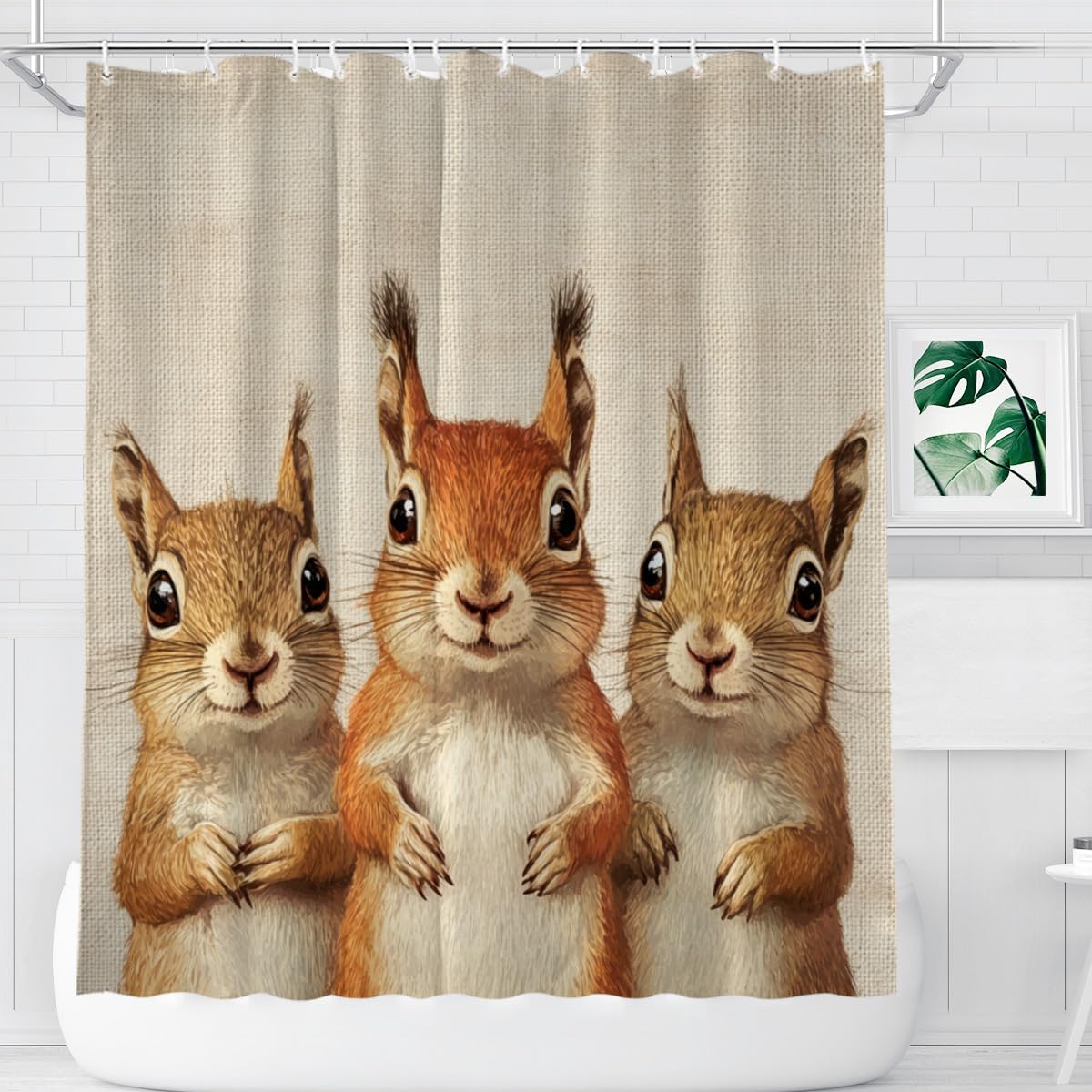 Funny Squirrel Design Shower Curtain Set with 12 Hooks 72x72